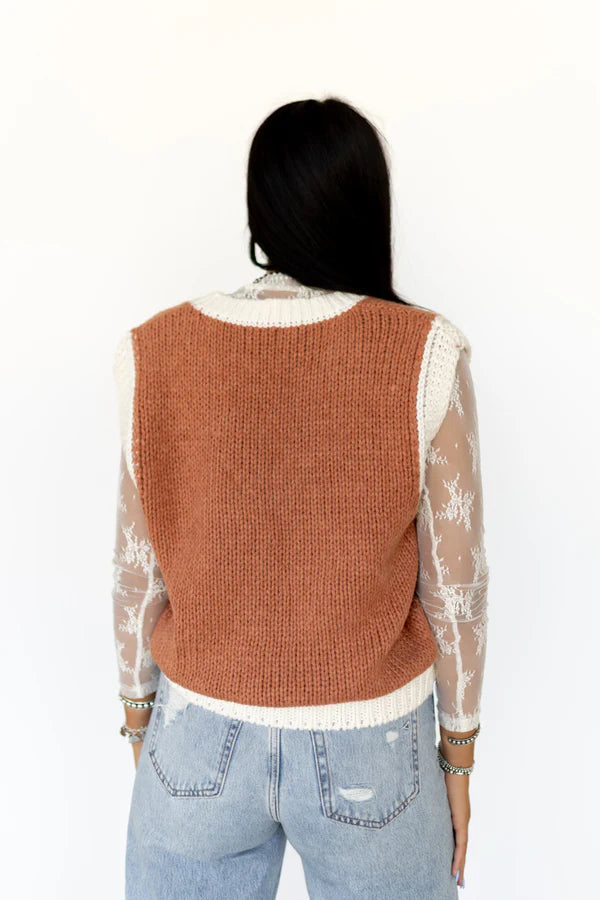 Brown Horseshoe V-Neck Sweater