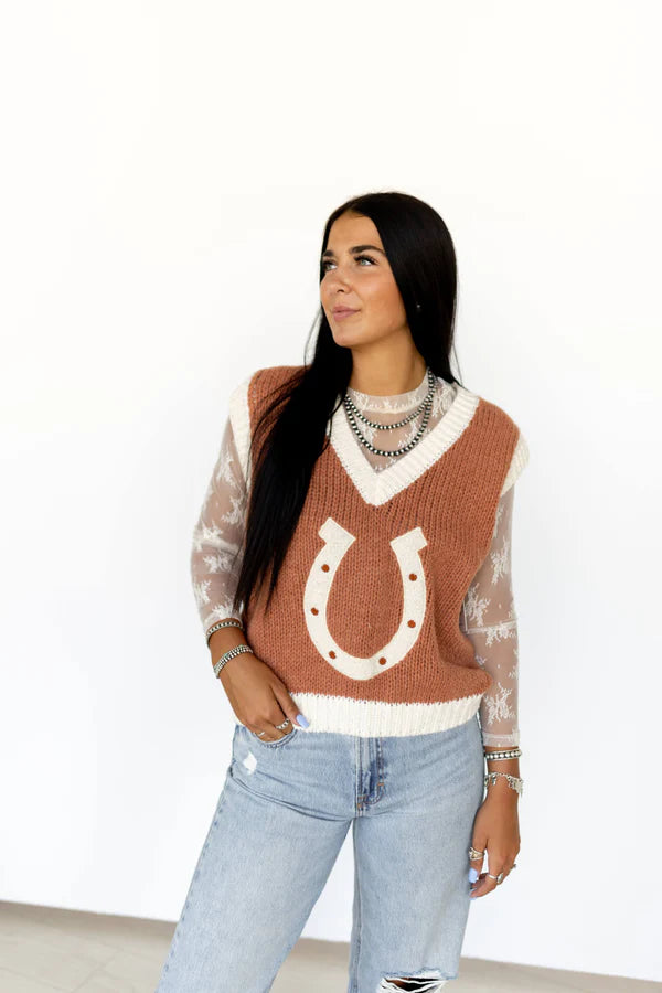 Brown Horseshoe V-Neck Sweater